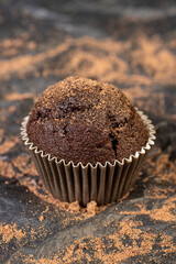 fresh and soft black chocolate cupcake on black paper