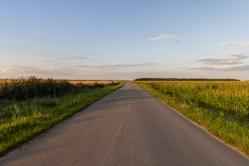 a narrow curve paved road in the summer at sunset