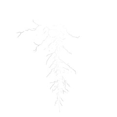 Fototapeta premium Intense electric lines of potokasd thunder a dynamic display of nature's power in the sky