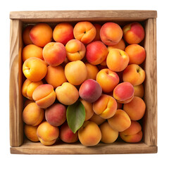Apricot on wooden crate isolated on transparent background