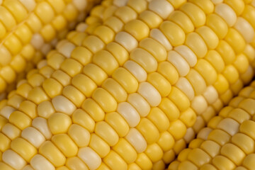 peeled corn cob with yellow and white seeds of different sizes and shades