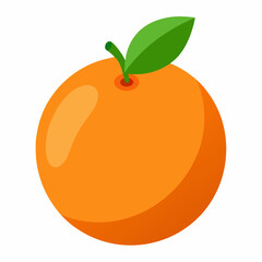 Fresh Orange Fruit vector in white background
