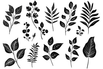Set of  hand drawn floral elements and silhouettes of tropical leaves, isolated on white background