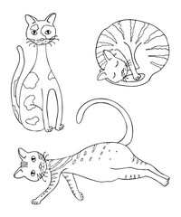 A set of images of cute funny cats. Stickers in hand draw doodle sketch style. Black contour isolated on a white background