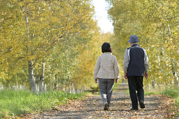 Fototapeta premium 紅葉の一本道を歩くシニアの日本人夫婦