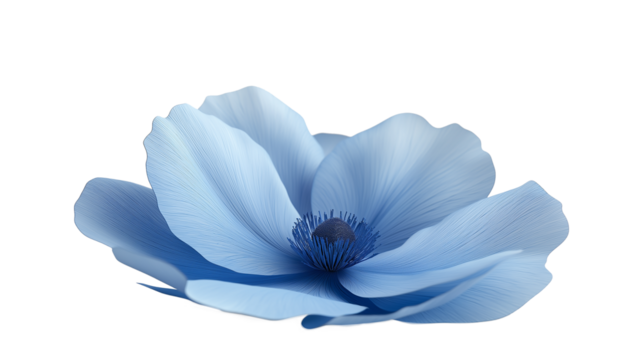 Animated Flower isolated on a white background 