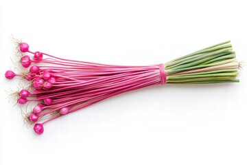 Bunch of Pink Garlic Scapes
