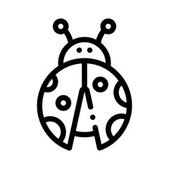 ladybug line icon