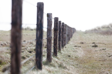 A long wooden post fence with barbed wire runs through a field of light brown grass.  Focus is on...