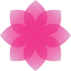 Pink Floral Vector Illustration for Design Projects
