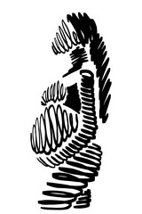 Pregnant woman touching her belly, abstract vector freehand drawing, female body