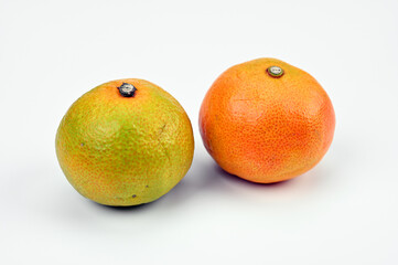 白背景にみかん01
