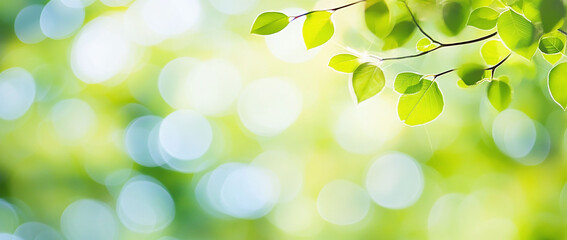Fototapeta premium Lush green leaves against a soft, blurred background.