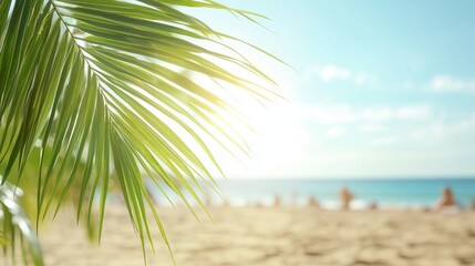 Fototapeta premium Beautiful summer background with palm leaves against the backdrop of a sandy sea beach under a blue sky. Copy space.