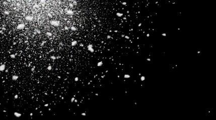 Obraz premium Snowflakes Gently Falling Against Isolated Dark Background