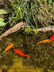 Parco Grotta Cascata Varone