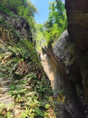 Obraz premium Parco Grotta Cascata Varone