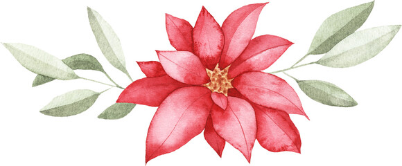 Watercolor Red Poinsettia Flower with Green Leaves
