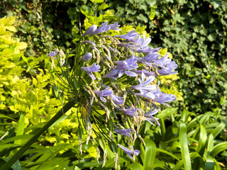 Parco Grotta Cascata Varone