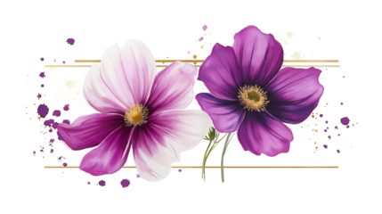 Watercolor hand-drawn cosmos flower gold frame in trendy color viva magenta. isolated on a white background