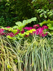 Parco Grotta Cascata Varone