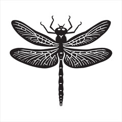 Delicate Dragonfly Insect Vector Illustration