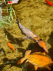 Parco Grotta Cascata Varone