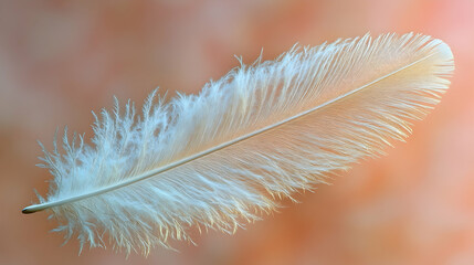 A delicate feather floating gracefully.