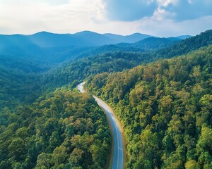 Scenic aerial view of mountain road winding through dense forest in autumn, nature exploration