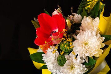 Colorful spring flower bouquet on dark background