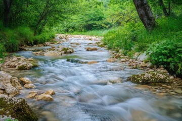 Obraz premium Serene flowing stream in lush green forest, rocks and plants visible.