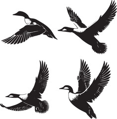 silhouette set of common eider  flying poses
