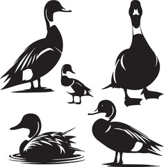 Northern pintail sitting poses, black and white logo