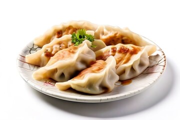5 a plate of gyoza japanese pan fried dumplings on a white backg