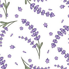 Hand drawn seamless lavender pattern featuring delicate purple flowers and green stems on a white background