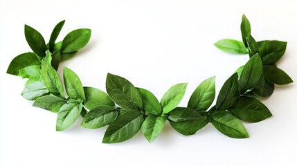 Simple Green Laurel Crown Crafted from Natural Elements