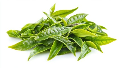 Fototapeta premium 11.High-quality image of vibrant green tea leaves arranged on a pure white background, with each leaf in focus; leaves displayed in varied angles, emphasizing their textures and shapes.