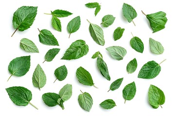 Close-up of fresh mint leaves isolated on white