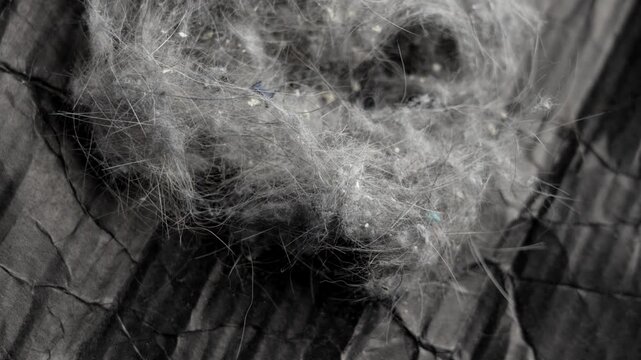 Tangled dust ball with fine hairs and particles collected from a vacuum cleaner on dark paper surface. Rotation