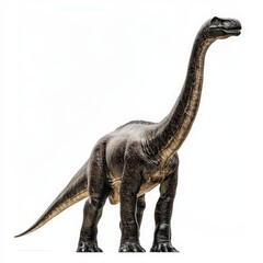 Brachiosaurus dinosaur, triassic period, mesozoic era, cretaceous period, jurassic period, isolated on white background