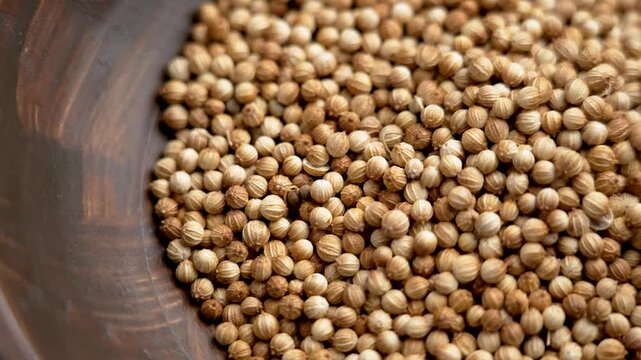 Dried coriander grains in a rustic wooden bowl. Small round seeds with rough texture and citrusy earthy flavor. Top view. Rotation