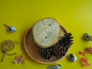 Tree stump in yellow background for product display