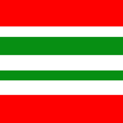 Fototapeta premium Seamless background with red green lines. Merry Christmas. Happy New Year