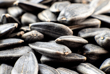 Sunflower seeds in close-up view