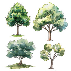 Set of watercolor green tree isolated on white background for landscape and architecture drawing, elements for environment and garden, botanical for section in spring. Watercolor trees collection