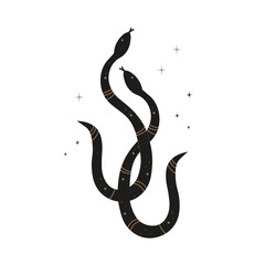 Vector boho illustration with snakes, stars, symbol of New Year. Hand drawn mystical reptiles on isolated background. Design elements for tattoo, card, print, paper, poster, logo, sign, flyer