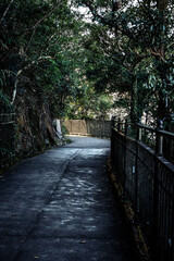 Paved Path with Railings Winding Through Lush Greenery