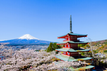 新倉山浅間公園　春の富士山