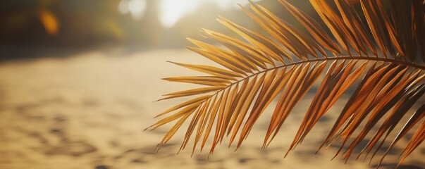 Fototapeta premium Bask in the beauty of radiant golden sunlight casting elegant shadows of palm leaves on a serene beach, a tropical paradise Discover sun-drenched shores, warm breezes, and tranquil escapes This