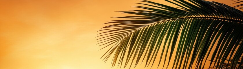 Obraz premium Explore the captivating beauty of an artistic tropical silhouette of dense palm leaves against a warm golden sky This stunning image showcases the intricate details of nature's artistry, perfect for
